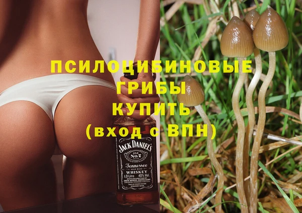 соль ск Кукмор