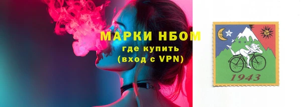 соль ск Кукмор