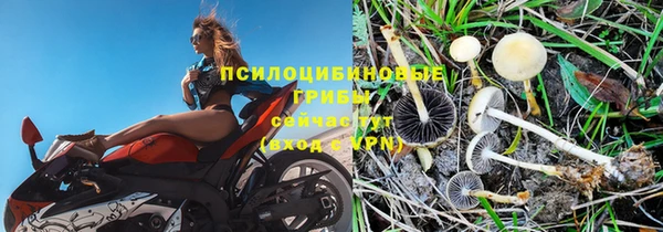 ешки Краснотурьинск
