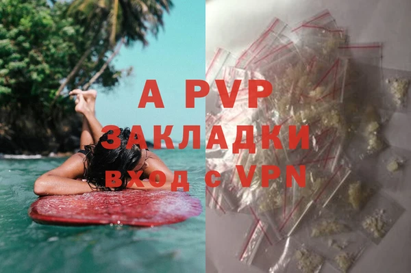 мяу мяу мука Кулебаки