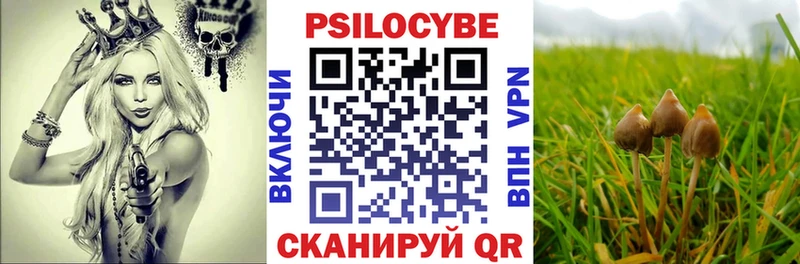 Галлюциногенные грибы Psilocybe  Купить где  Кондрово 